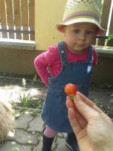 20140508_133705