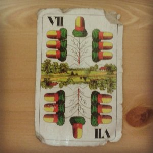 1531736_10203288293592514_7426461177054236178_n